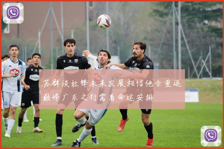 苏群谈杜锋未来发展相信他会重返巅峰广东之行需看命运安排