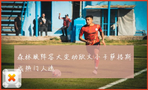 森林狼阵容大变动欧文小卡萨格斯成热门人选